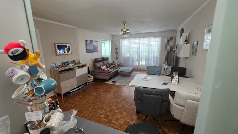 2½ ZI-WOHNUNG IN LUZERN, MÖBLIERT, TEMPORÄR (3)