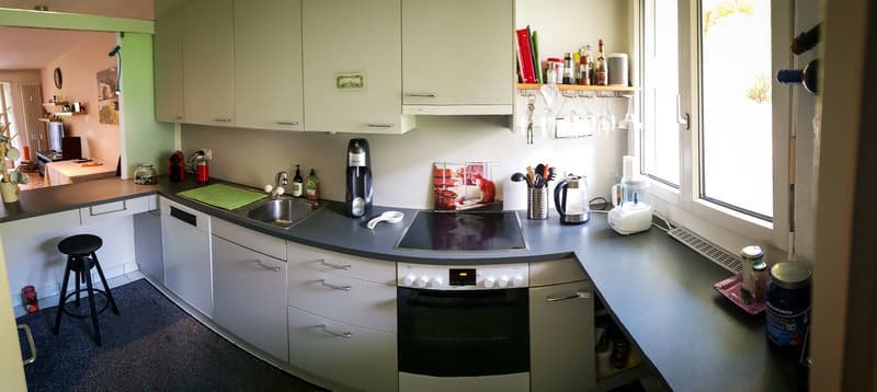 2½ ZI-WOHNUNG IN LUZERN, MÖBLIERT, TEMPORÄR (2)