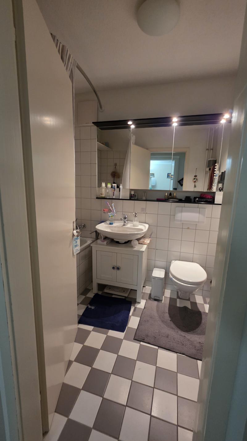 2½ ZI-WOHNUNG IN LUZERN, MÖBLIERT, TEMPORÄR (8)