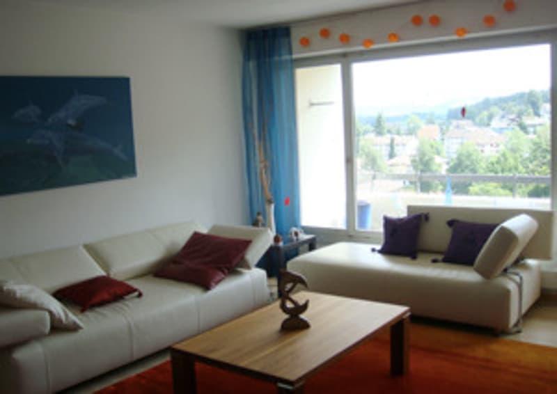 2½ ZI-WOHNUNG IN LUZERN, MÖBLIERT, TEMPORÄR (4)