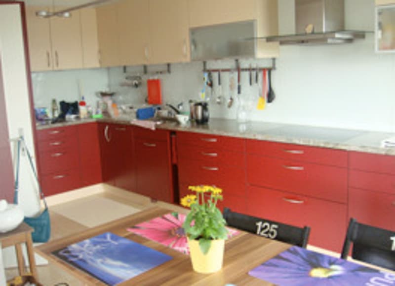 2½ ZI-WOHNUNG IN LUZERN, MÖBLIERT, TEMPORÄR (2)