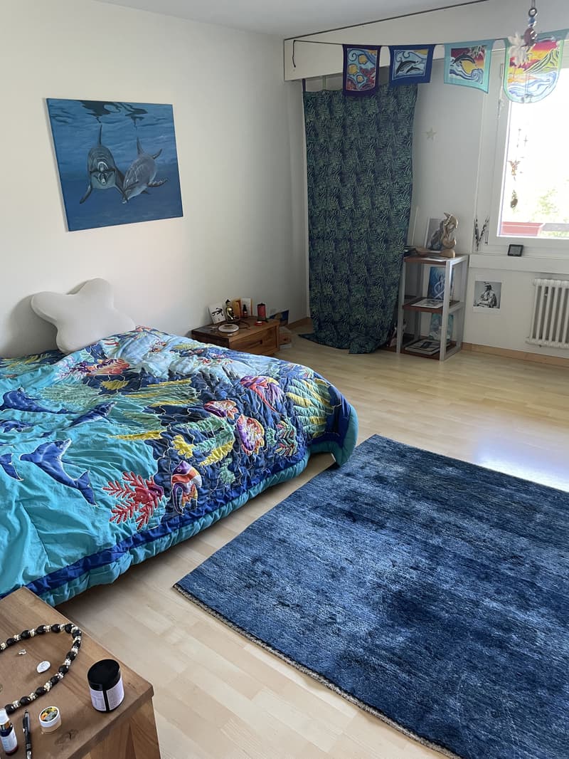 2½ ZI-WOHNUNG IN LUZERN, MÖBLIERT, TEMPORÄR (5)