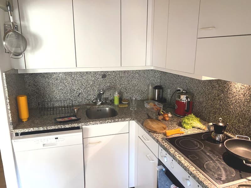 2½ ZI-WOHNUNG IN BERN, MÖBLIERT, TEMPORÄR (4)