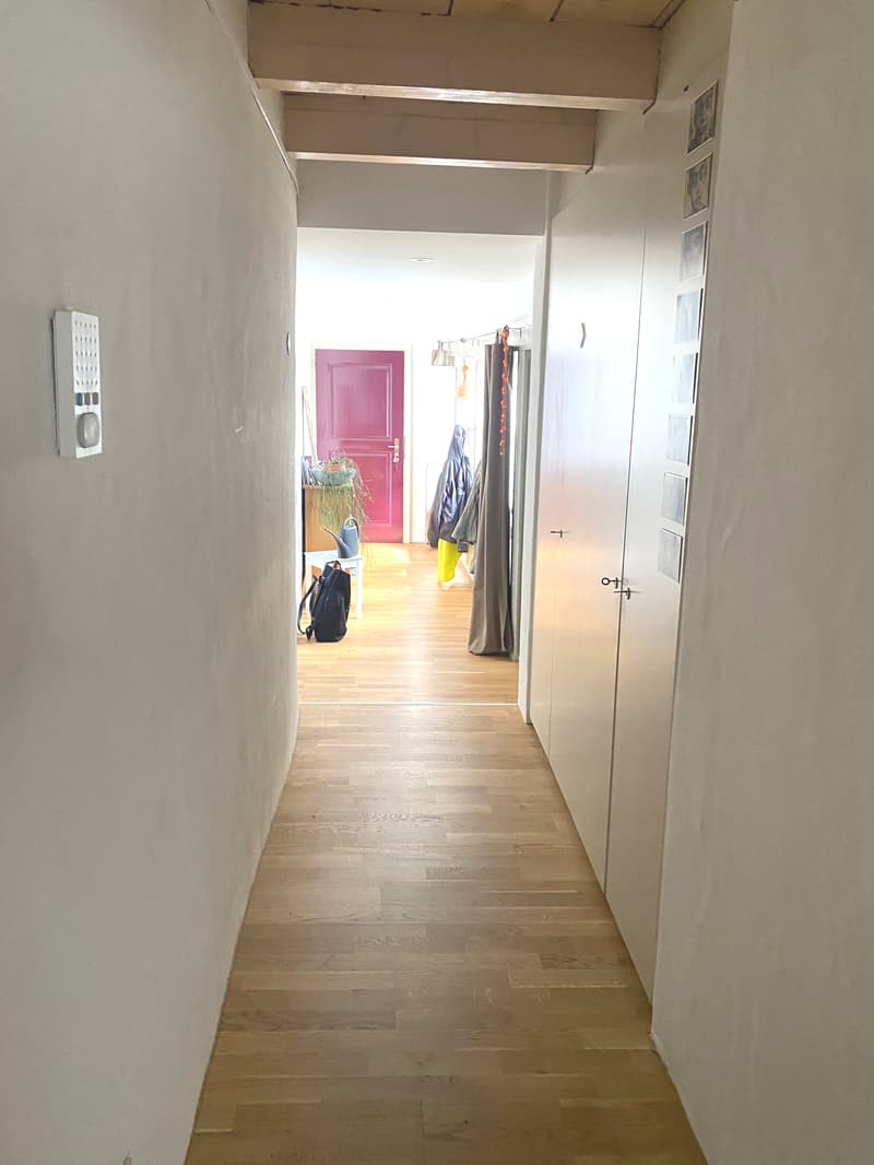 2½ ZI-WOHNUNG IN BERN, MÖBLIERT, TEMPORÄR (2)