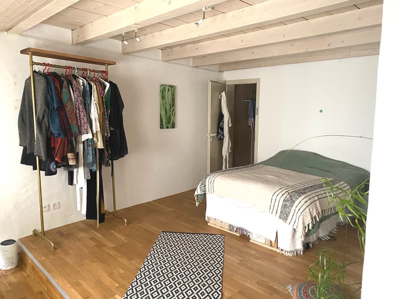 2½ ZI-WOHNUNG IN BERN, MÖBLIERT, TEMPORÄR (5)