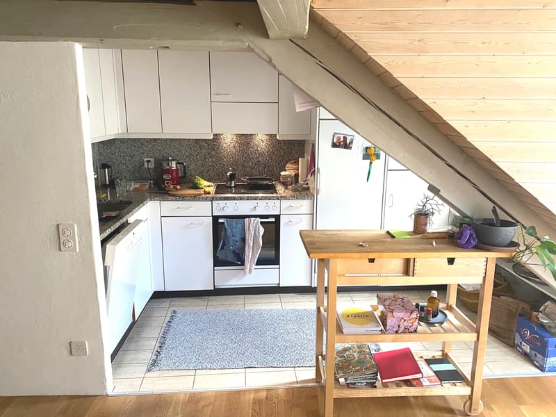 2½ ZI-WOHNUNG IN BERN, MÖBLIERT, TEMPORÄR (3)