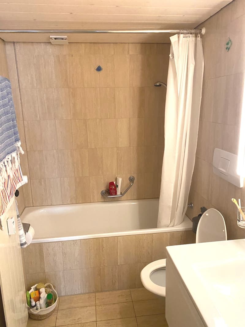 2½ ZI-WOHNUNG IN BERN, MÖBLIERT, TEMPORÄR (7)