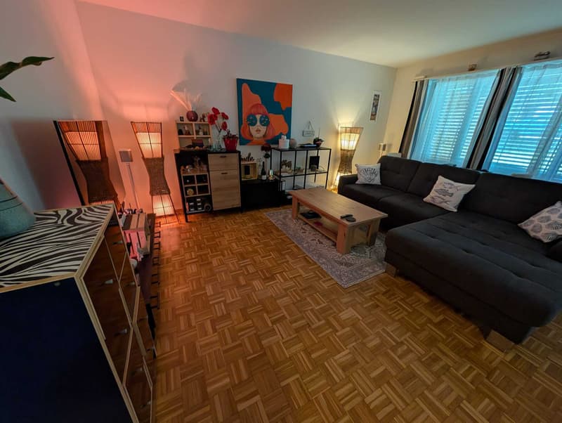 2½ ZI-WOHNUNG IN KREUZLINGEN (TG), MÖBLIERT, TEMPORÄR (1)