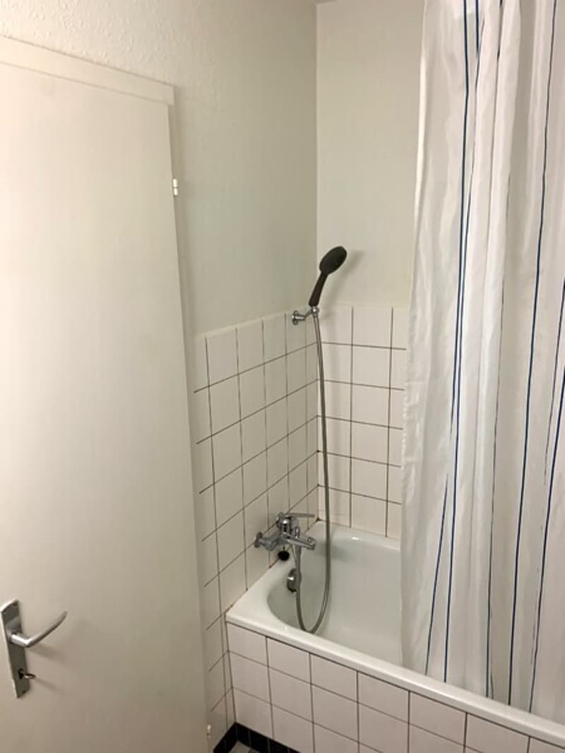 2½ ZI-WOHNUNG IN RHEINFELDEN (AG), MÖBLIERT, TEMPORÄR (9)