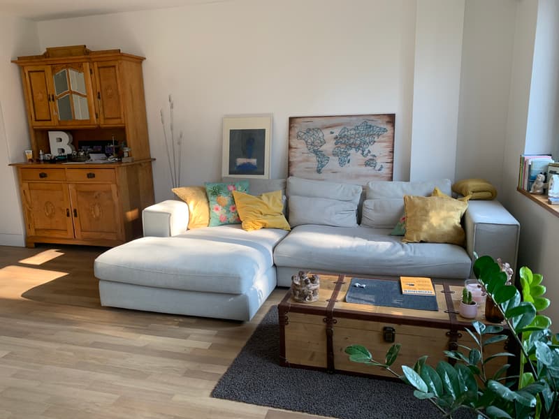 2½ ZI-WOHNUNG IN BERN - BREITENRAIN, MÖBLIERT, TEMPORÄR (1)