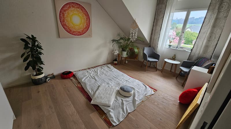3½ ZI-WOHNUNG IN SCHNEISINGEN (AG), MÖBLIERT, TEMPORÄR (10)