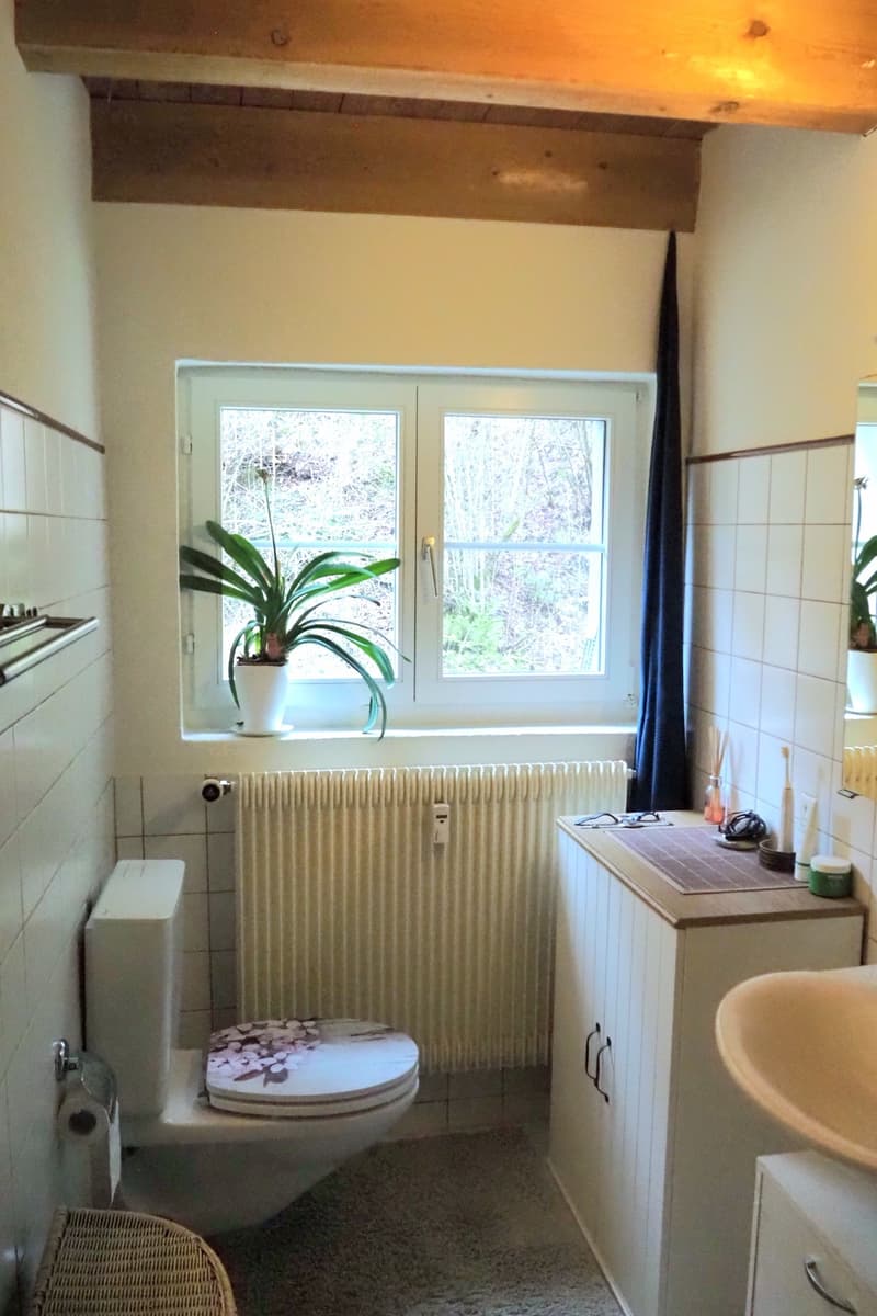 2½ ZI-WOHNUNG IN LÜTISBURG (SG), MÖBLIERT, TEMPORÄR (7)