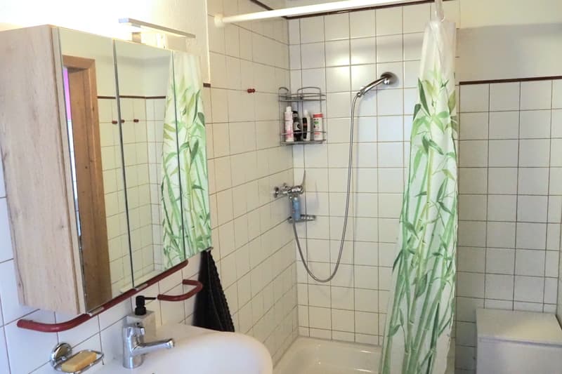 2½ ZI-WOHNUNG IN LÜTISBURG (SG), MÖBLIERT, TEMPORÄR (8)