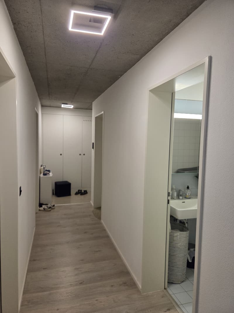 3½ ZI-WOHNUNG IN SCHLIEREN (ZH), MÖBLIERT, TEMPORÄR (6)