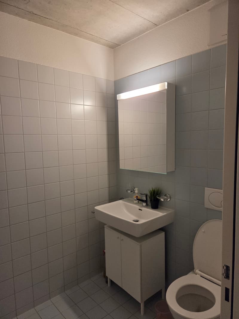 3½ ZI-WOHNUNG IN SCHLIEREN (ZH), MÖBLIERT, TEMPORÄR (10)