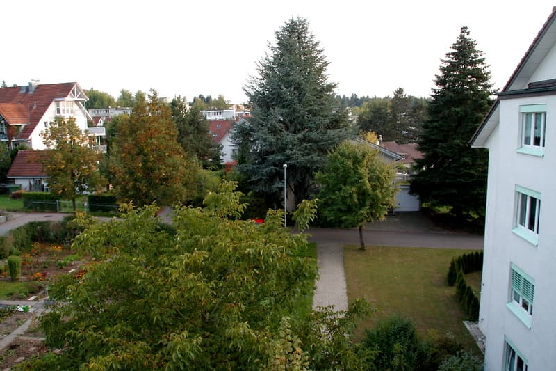 3½ ROOM APARTMENT IN KLOTEN (ZH), FURNISHED, TEMPORARY (8)