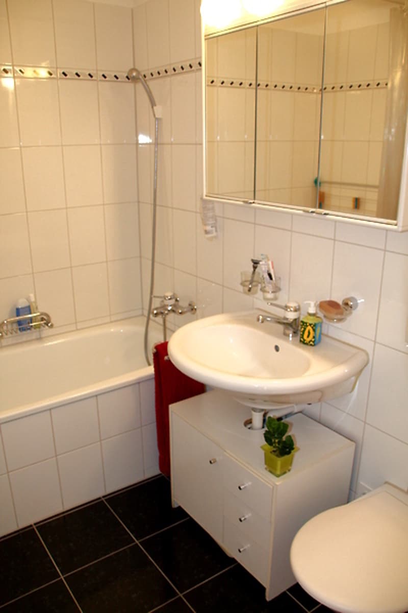 3½ ROOM APARTMENT IN KLOTEN (ZH), FURNISHED, TEMPORARY (6)