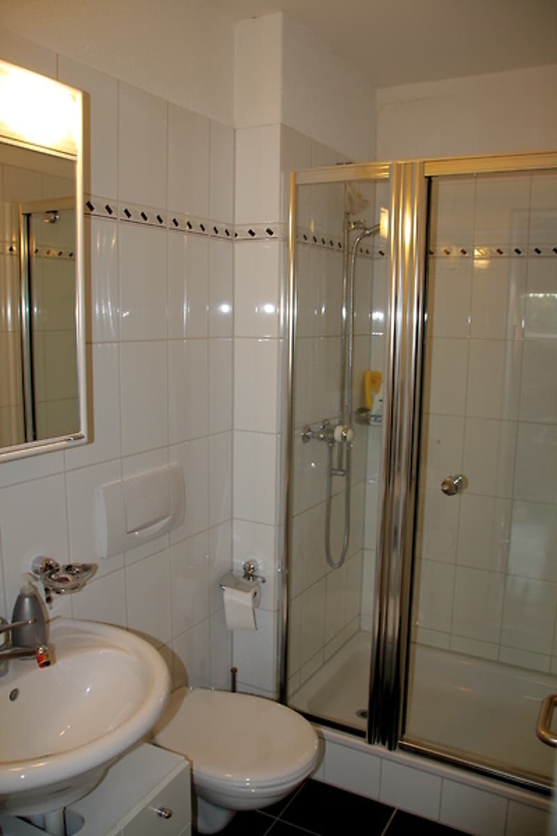 3½ ROOM APARTMENT IN KLOTEN (ZH), FURNISHED, TEMPORARY (7)