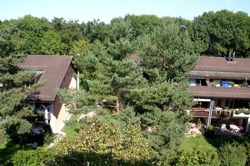 3½ ROOM APARTMENT IN KLOTEN (ZH), FURNISHED, TEMPORARY (10)