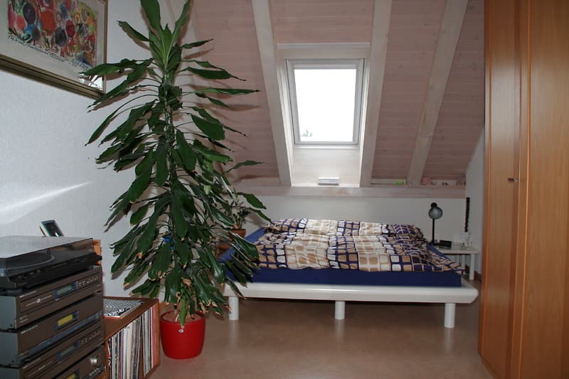 3½ ROOM APARTMENT IN KLOTEN (ZH), FURNISHED, TEMPORARY (4)