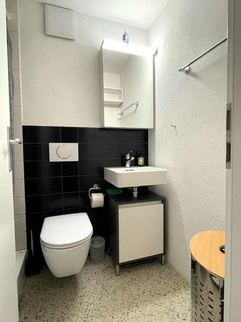 1½ ZI-WOHNUNG IN BERN - BREITENRAIN, MÖBLIERT, TEMPORÄR (6)