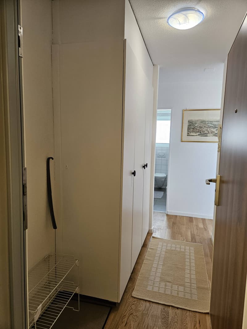 STUDIO IN BERN - WABERN, MÖBLIERT (7)
