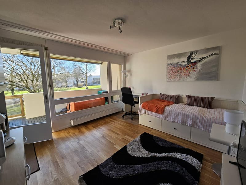 STUDIO IN BERN - WABERN, MÖBLIERT (1)