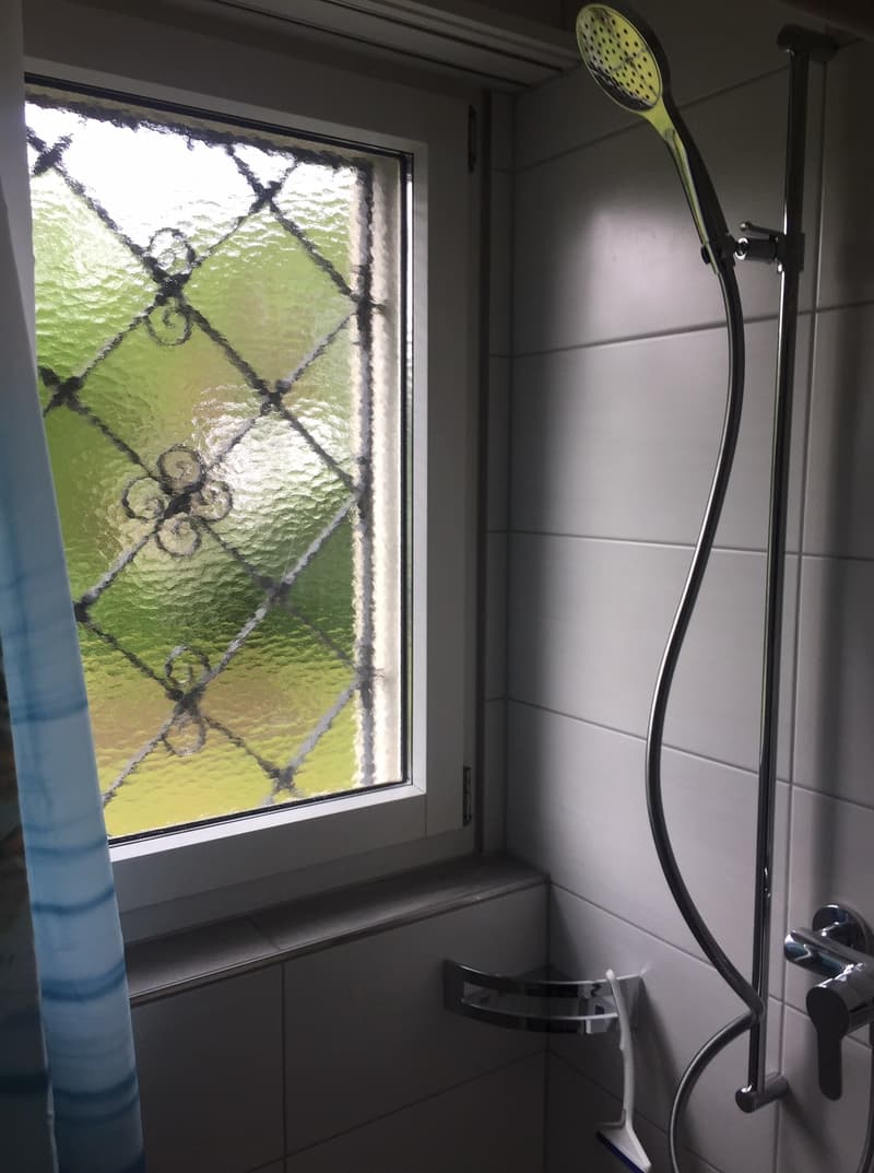 2 ZI-WOHNUNG IN HONDRICH (BE), MÖBLIERT, TEMPORÄR (6)