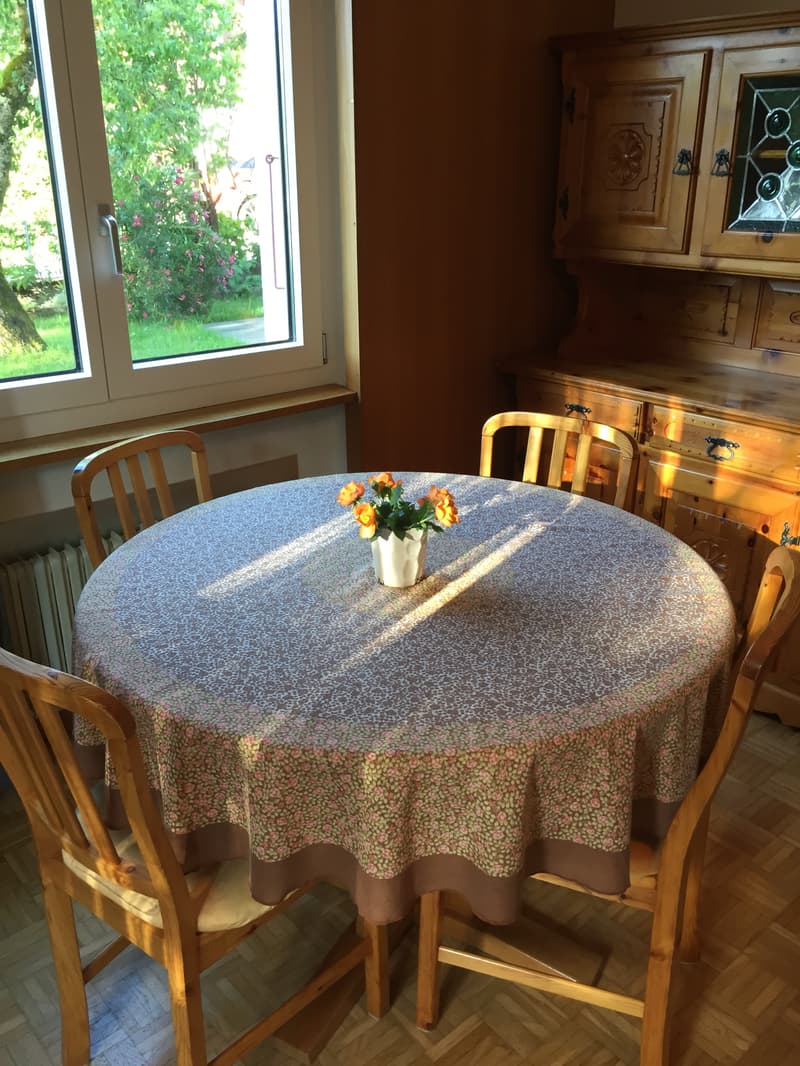 2 ZI-WOHNUNG IN HONDRICH (BE), MÖBLIERT, TEMPORÄR (3)