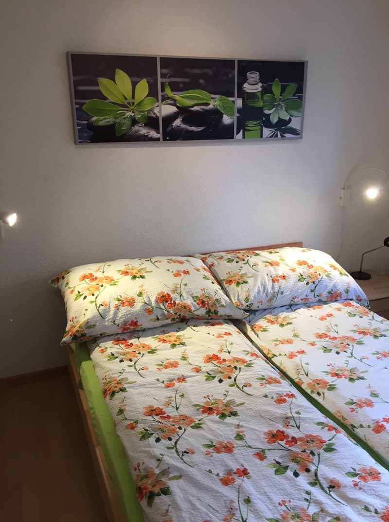 2 ZI-WOHNUNG IN HONDRICH (BE), MÖBLIERT, TEMPORÄR (2)