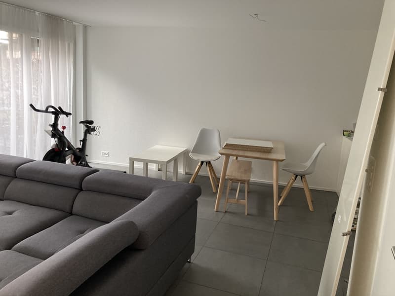 2½ ZI-WOHNUNG IN FREIENBACH (SZ), MÖBLIERT, TEMPORÄR (2)