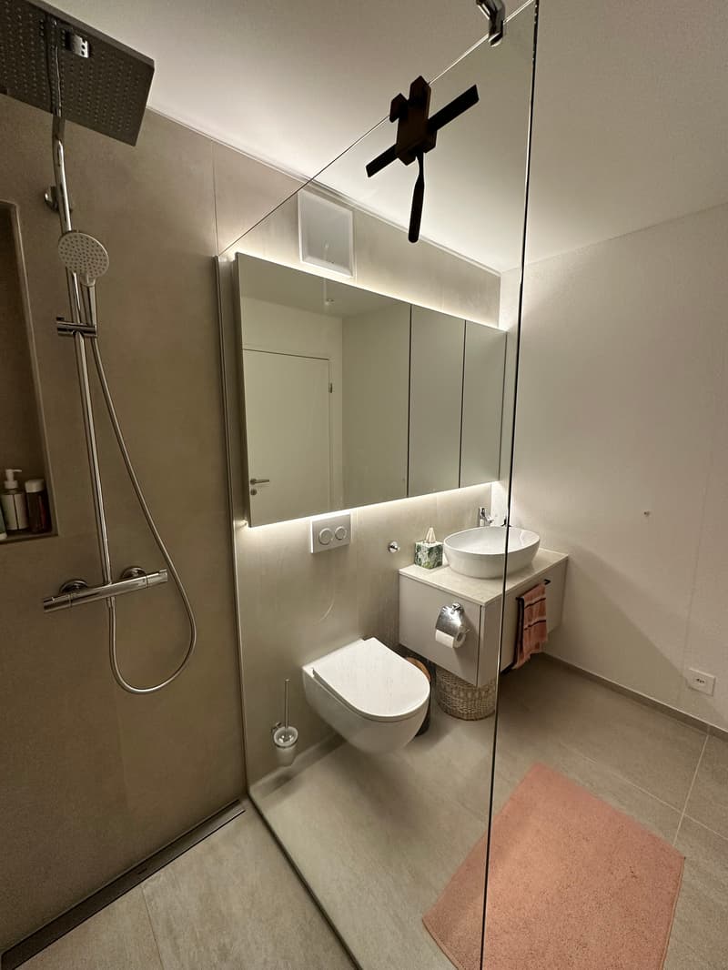 2½ ZI-WOHNUNG IN GERSAU (SZ), MÖBLIERT, TEMPORÄR (6)