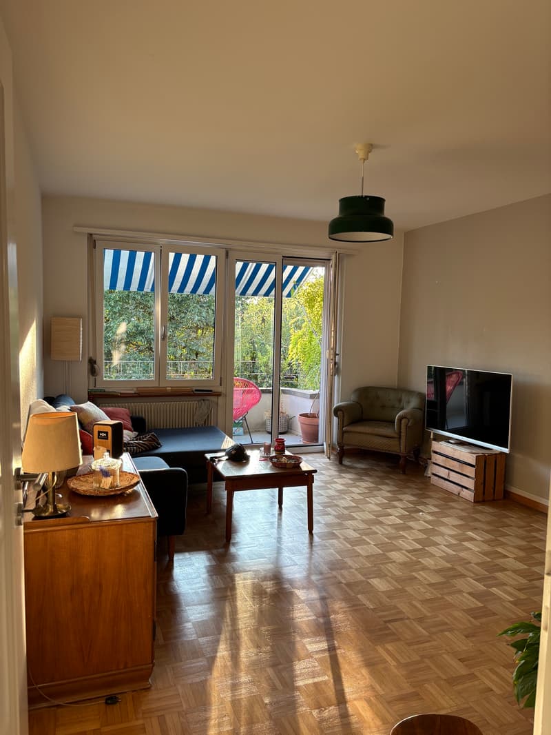 4 ZI-WOHNUNG IN BERN - BREITENRAIN, MÖBLIERT, TEMPORÄR (6)