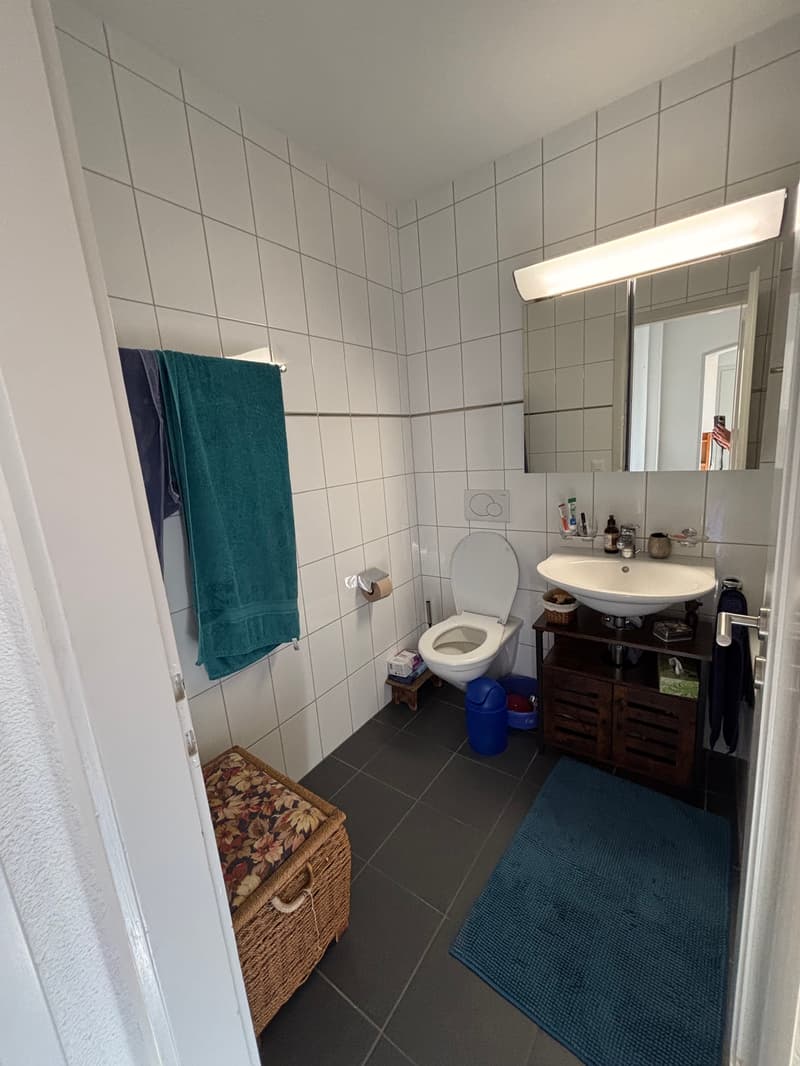 4 ZI-WOHNUNG IN BERN - BREITENRAIN, MÖBLIERT, TEMPORÄR (4)