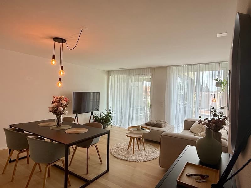 2½ ZI-WOHNUNG IN WETZIKON (ZH), MÖBLIERT, TEMPORÄR (1)