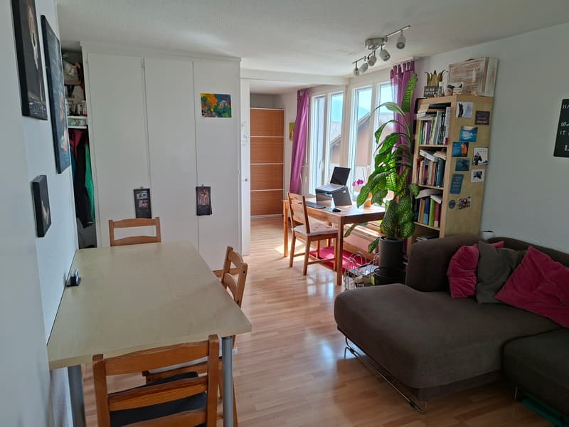 2 ZI-WOHNUNG IN THUN (BE), MÖBLIERT, TEMPORÄR (2)
