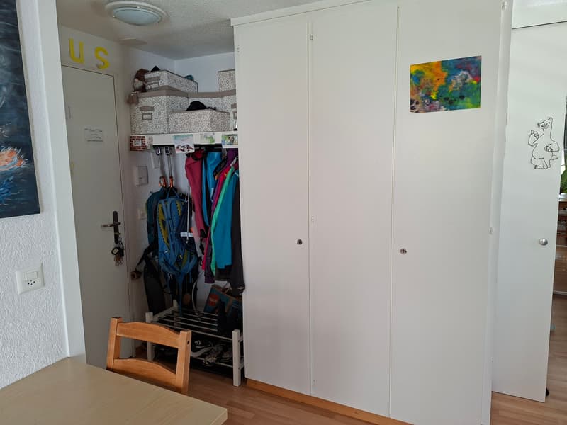 2 ZI-WOHNUNG IN THUN (BE), MÖBLIERT, TEMPORÄR (4)