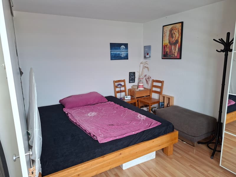 2 ZI-WOHNUNG IN THUN (BE), MÖBLIERT, TEMPORÄR (6)