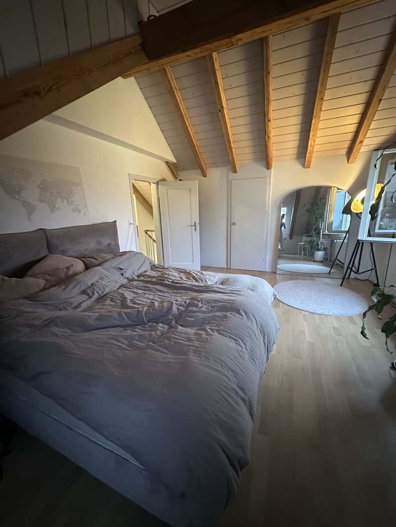 2½ ZI-WOHNUNG IN SPIEGEL B. BERN (BE), MÖBLIERT, TEMPORÄR (6)