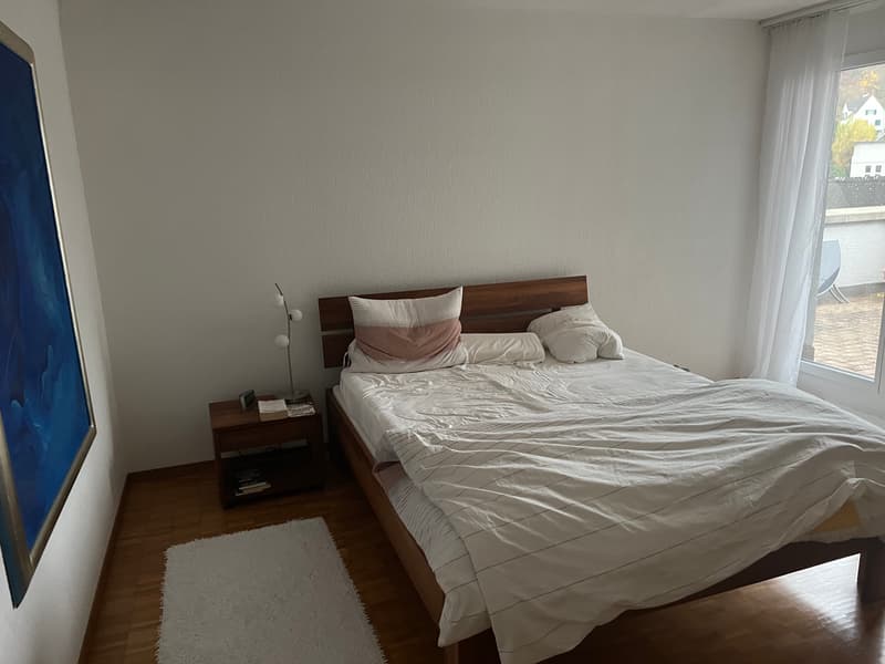 2½ ZIMMER-ATTIKAWOHNUNG IN BADEN (AG), MÖBLIERT, TEMPORÄR (6)