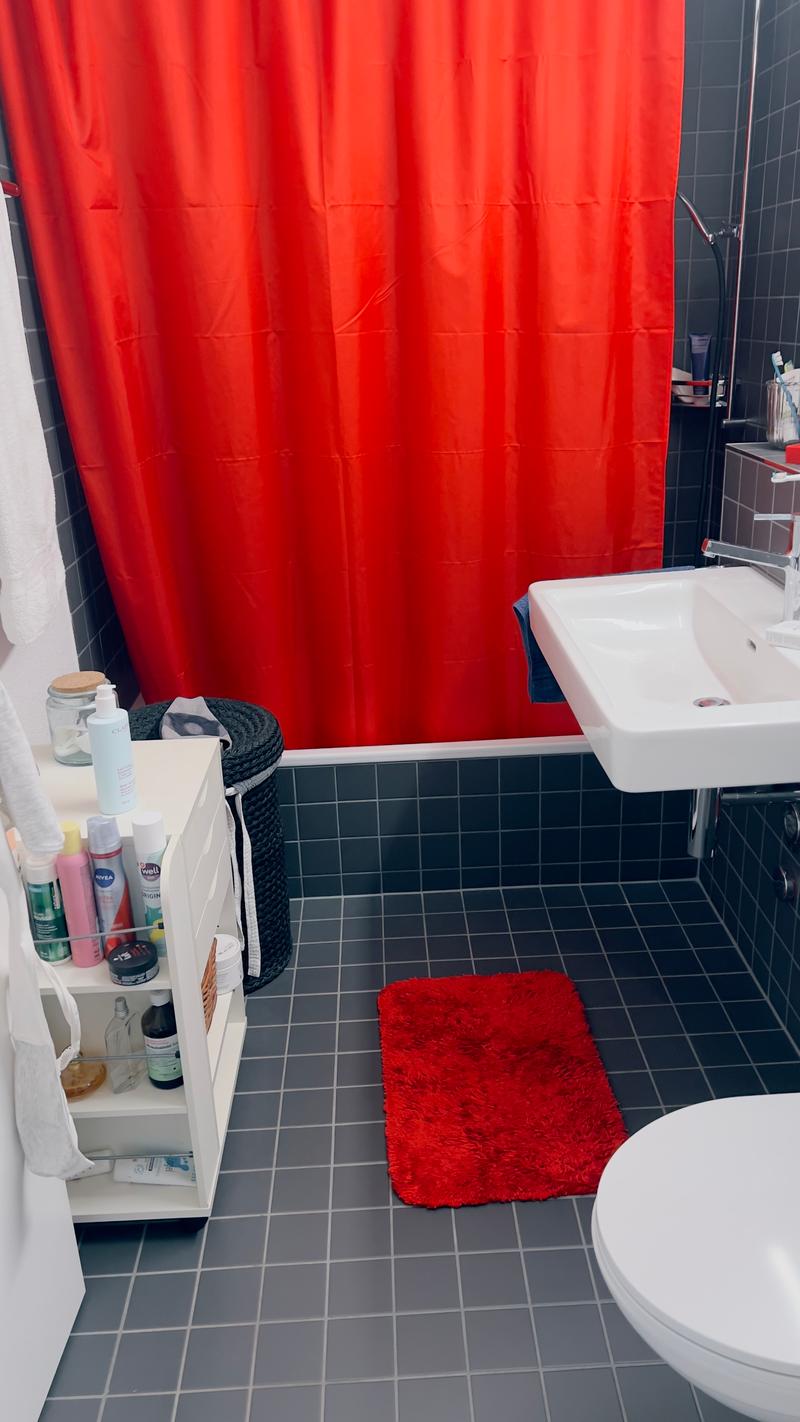2½ ZIMMER-ATTIKAWOHNUNG IN BADEN (AG), MÖBLIERT, TEMPORÄR (7)