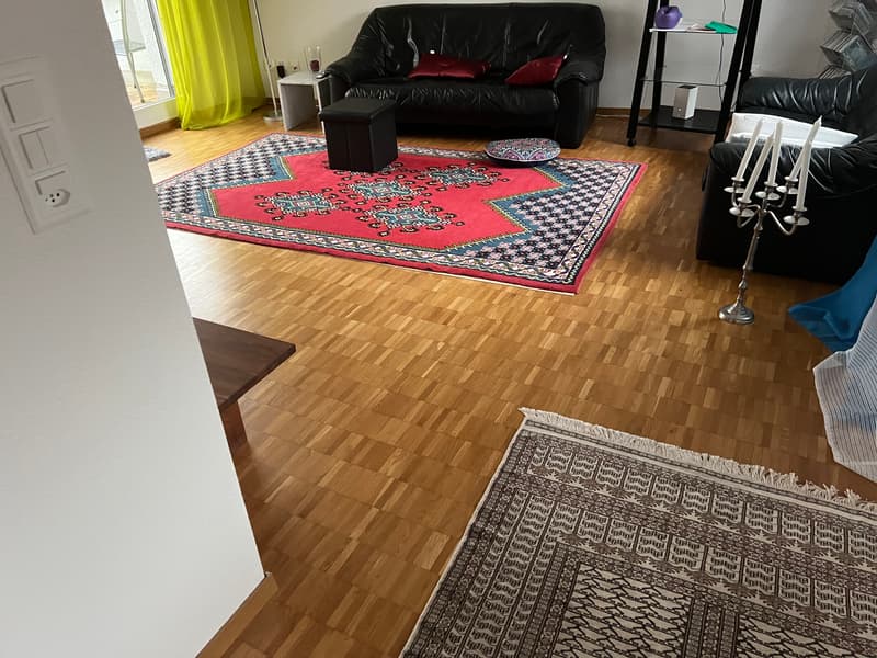 2½ ZIMMER-ATTIKAWOHNUNG IN BADEN (AG), MÖBLIERT, TEMPORÄR (2)