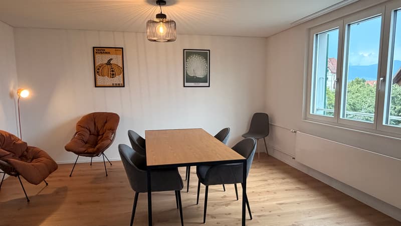 3½ ZI-WOHNUNG IN THUN (BE), MÖBLIERT, TEMPORÄR (2)