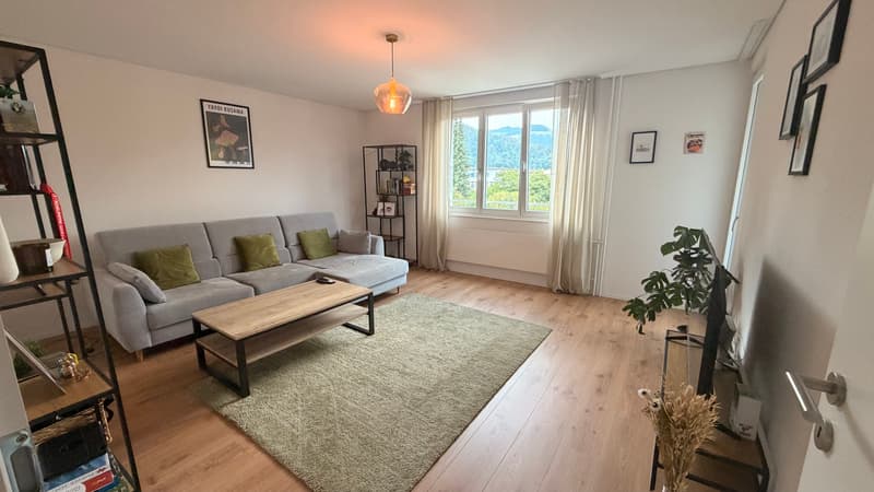 3½ ZI-WOHNUNG IN THUN (BE), MÖBLIERT, TEMPORÄR (1)