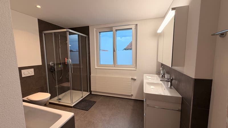 3½ ZI-WOHNUNG IN THUN (BE), MÖBLIERT, TEMPORÄR (5)