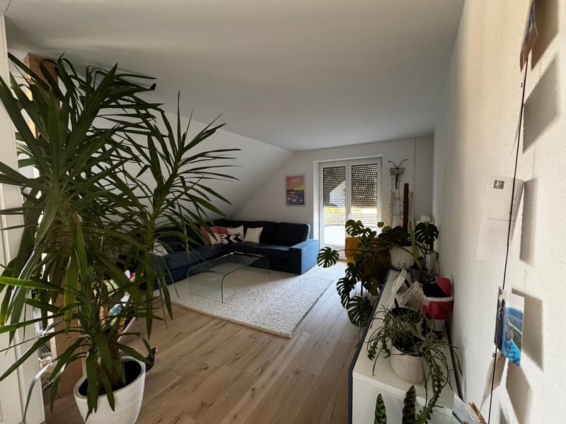 4½ ZI-WOHNUNG IN BERN, MÖBLIERT, TEMPORÄR (1)