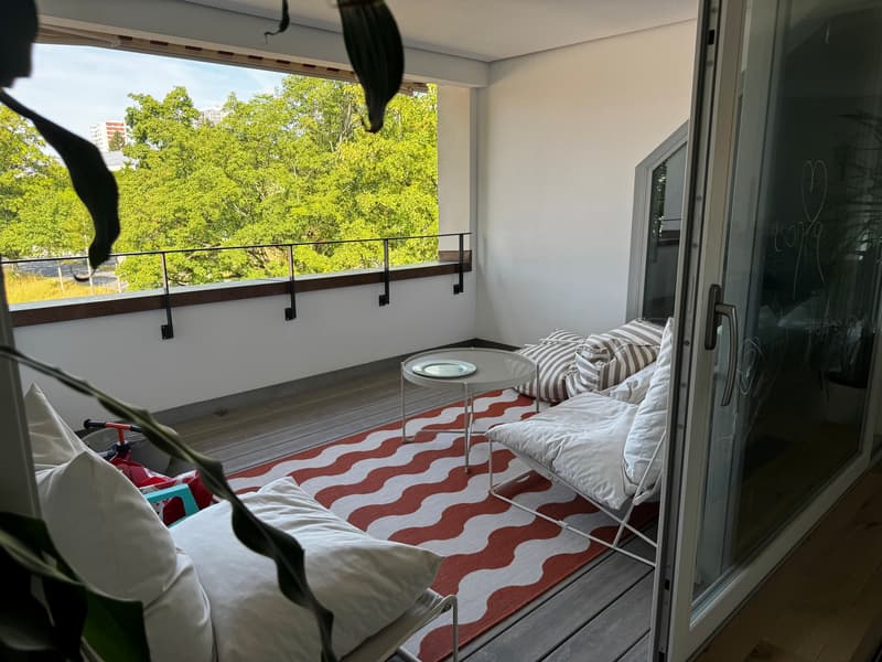 4½ ZI-WOHNUNG IN BERN, MÖBLIERT, TEMPORÄR (9)