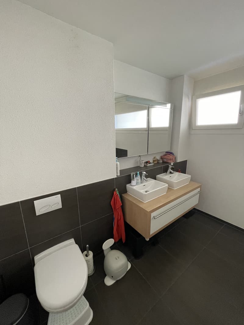 4½ ZI-WOHNUNG IN LUZERN, MÖBLIERT, TEMPORÄR (8)