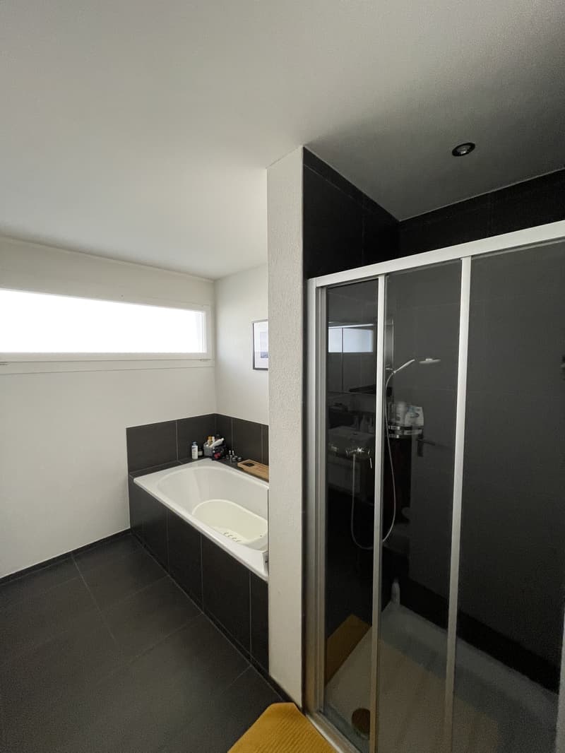 4½ ZI-WOHNUNG IN LUZERN, MÖBLIERT, TEMPORÄR (7)