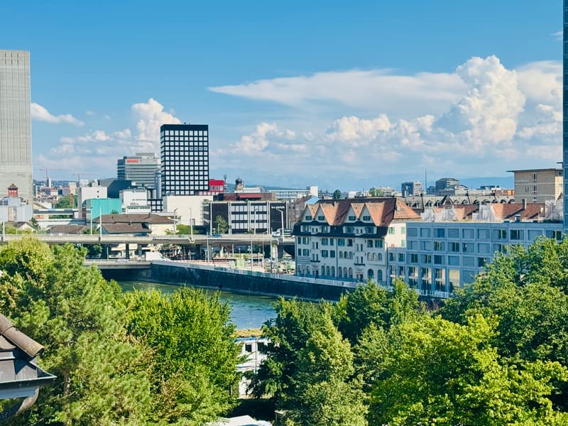 2½ ZIMMER-DACHWOHNUNG IN ZÜRICH - KREIS 10, MÖBLIERT, TEMPORÄR (10)